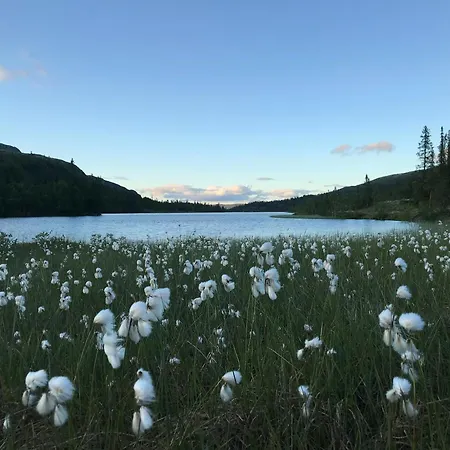 Mountain By Seven Mountain Lakes In Sloko * Flesberg